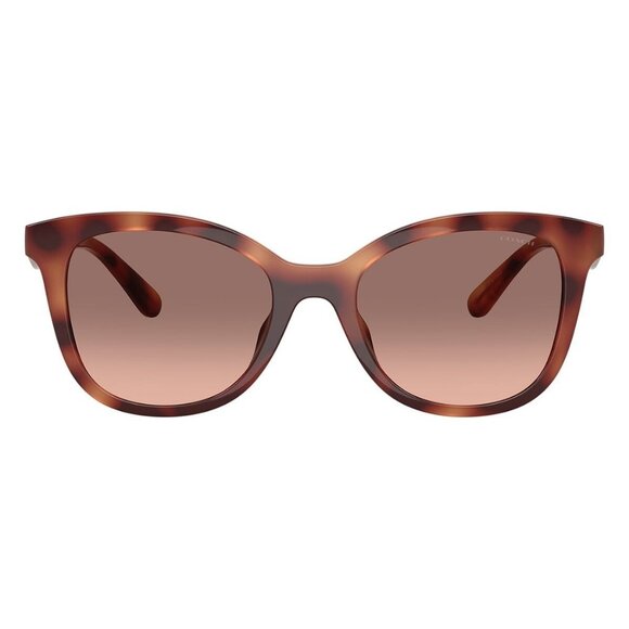 New COACH Cad25 Havana Square HC8419U 5774/13 Sunglasses Women - Picture 2 of 6